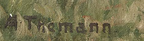 Signature — Adolf Thomann · En bas à gauche