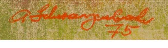 Signature 1 — Armin Schwarzenbach · En bas à droite