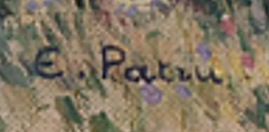 Signature 3 — Emile Patru · En bas à gauche de la toile, au-dessus du bord intérieur du cadre.