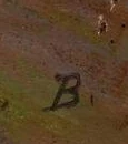 Monogramm — Gustave de Beaumont · Unten rechts auf der Leinwand.
