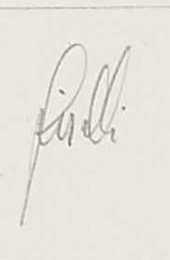 Firma 2 — Hans Fischli · In basso a destra del foglio.