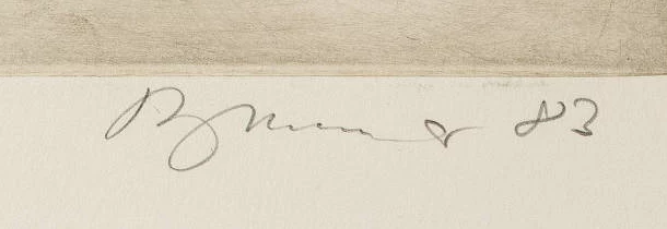 Signature — Hansjürg Brunner · En bas à droite, sous la plaque, sur la feuille.