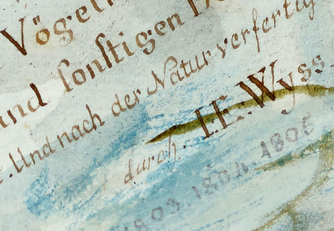 Signature — Johann Emanuel Wyss · Dans la partie inférieure droite du texte du titre, sur la page de titre.