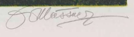 Firma — Julio Meissner · In basso a destra, sotto l’immagine stampata.