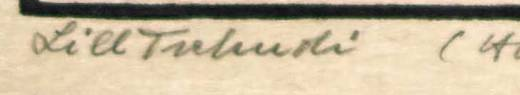 Firma 3 — Lill Tschudi · Sotto l’immagine, in basso a sinistra.