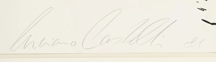 Firma 1 — Luciano Castelli · Nel margine inferiore sinistro del foglio.
