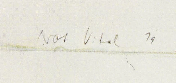 Signature 1 — Not Vital · En bas à droite du dessin.