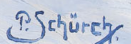 Firma 5 — Paul Schürch · In basso a destra