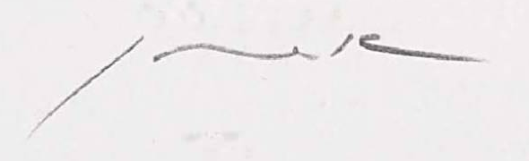 Signature 2 — Pravoslav Sovak · Dans la marge inférieure, sous l’image, vers le centre.