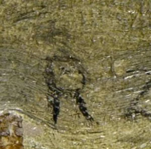 Monogramme 1 — Robert Zünd · En bas à gauche de la toile.