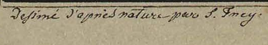 Signature 1 — Samuel Frey · En bas à gauche, sous l’image