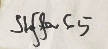 Signature 2 — Walter Arnold Steffen · Lower right