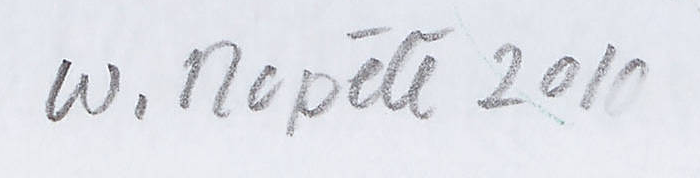Firma 9 — Walter Ropélé · In basso a sinistra