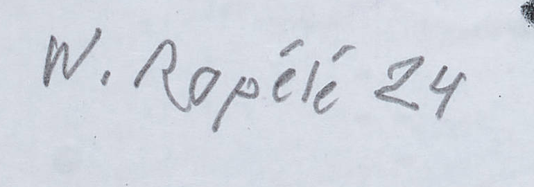 Firma 6 — Walter Ropélé · In basso a sinistra
