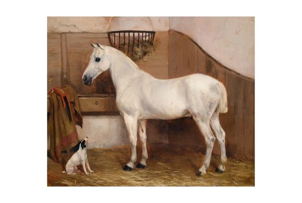 Tennants Auctioneers
