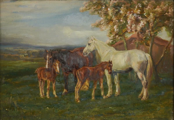 Bellmans
