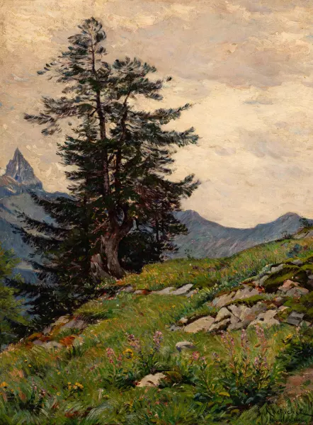 Sapins à Morcles, 1892