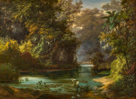 Südamerikanische Landschaft