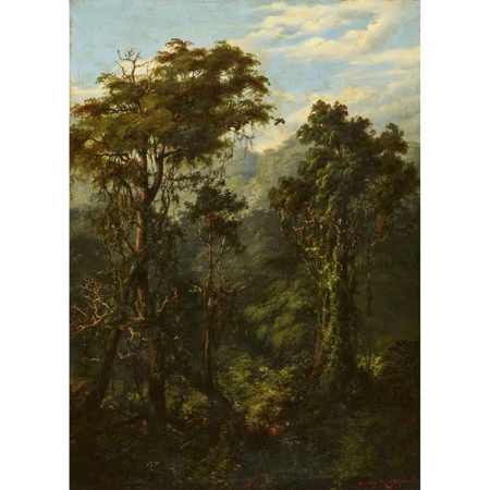 Regenwald