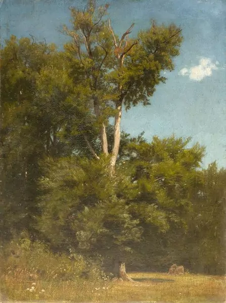 ADOLF STÄBLI — Landschaft mit einer Waldlichtung. — Koller Auktionen