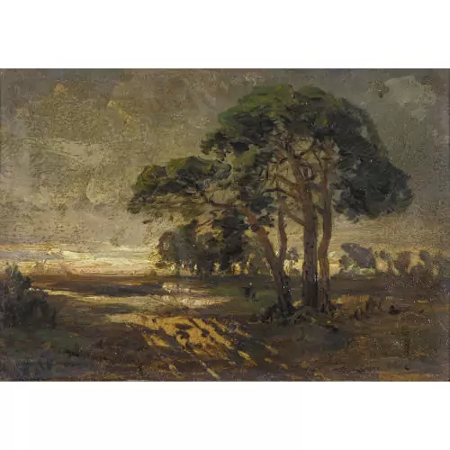 Abendliche Landschaft mit Bäumen