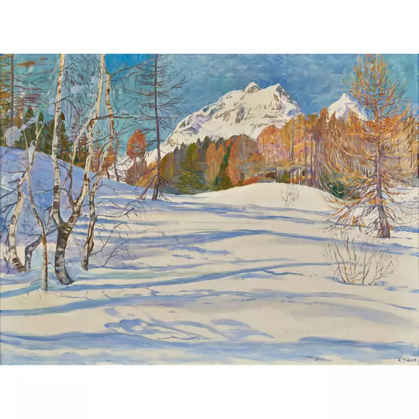 Sonnige Winterlandschaft im Saanenland