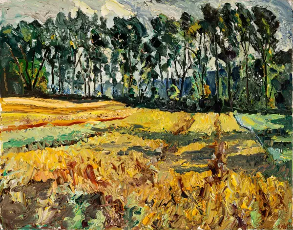 Landschaft mit Wald