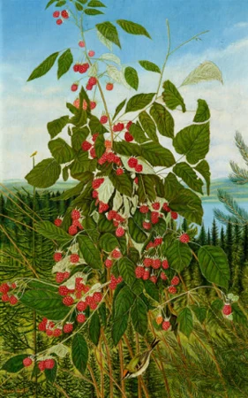 Himbeeren mit Landschaft, 1939