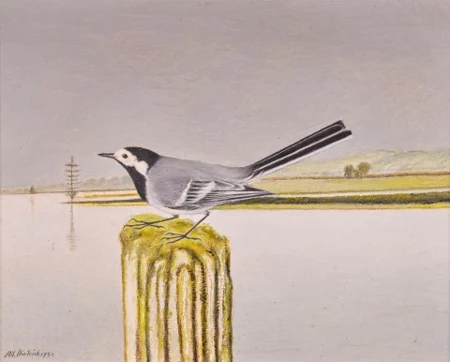 Bachstelze auf Pfahl, 1951