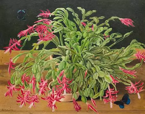 ADOLF DIETRICH — Christmas cactus. 1934. — Koller Auktionen