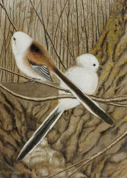 ADOLF DIETRICH — Schwarzmeise. 1937. — Koller Auktionen