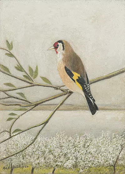 Adolf Dietrich — März 2019 (A152) - Auktionsstart: 22.3.2019, 10:00 — Schuler Auktionen