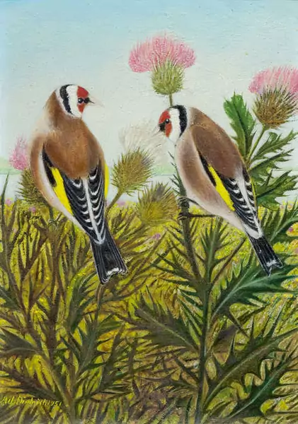 ADOLF DIETRICH — Zwei Distelfinken auf einer Distel. 1951. — Koller Auktionen