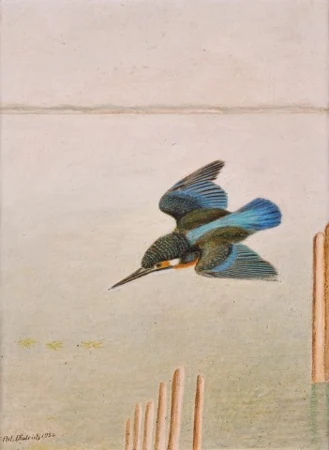 Eisvogel über dem See, 1956