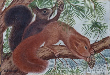 Zwei Eichhörnchen, 1933