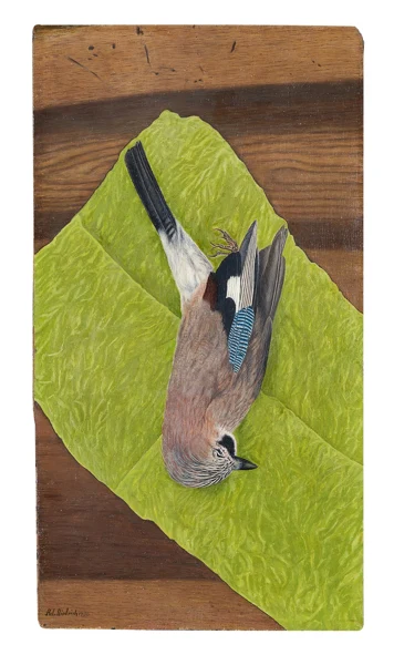 Adolf Dietrich — Toter Eichelhäher, 1936