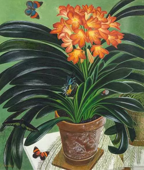 ADOLF DIETRICH — Clivia. 1943. — Koller Auktionen