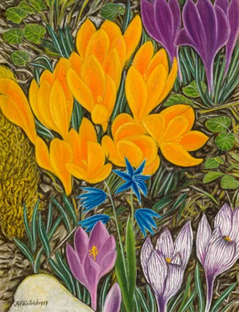 Krokus, 1939