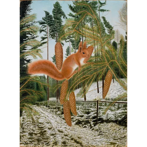 Adolf Dietrich — Eichhörnchen auf Tannenast im Winter