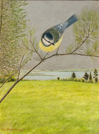 Blaumeise auf Lärchenzweig, 1943