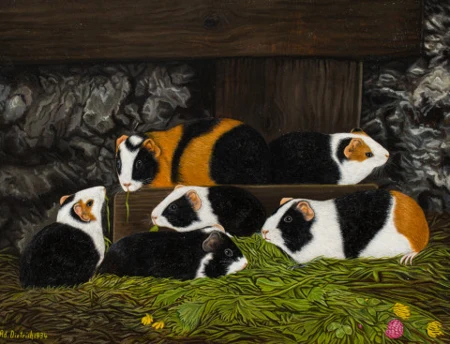 Sechs Meerschweinchen im Stall, 1934