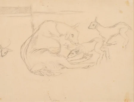 Ziege mit Zicklein, Studie, 1909