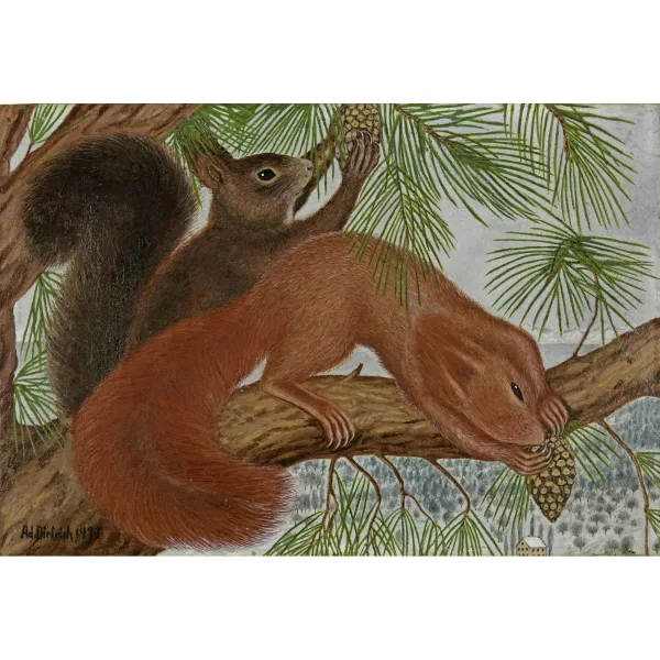 Adolf Dietrich — Zwei Eichhörnchen