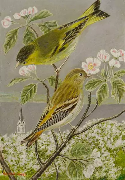 ADOLF DIETRICH — Two siskins. 1937. — Koller Auktionen