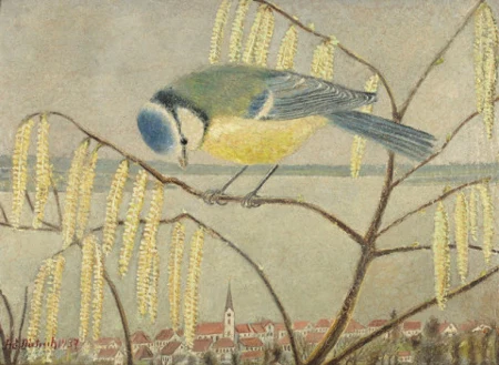 Blaumeise, 1937