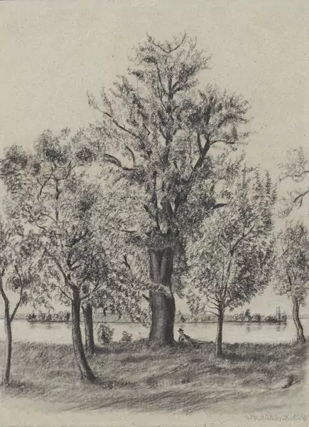 DIETRICH, ADOLF — Trees on a Riverbank. 1904. — Koller Auktionen