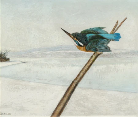 Eisvogel in Winterlandschaft, 1955