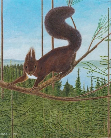 Eichhörnchen im Tannenwald, 1949