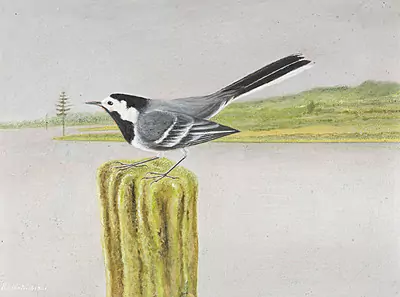 Adolf Dietrich — März 2019 (A152) - Auktionsstart: 22.3.2019, 10:00 — Schuler Auktionen