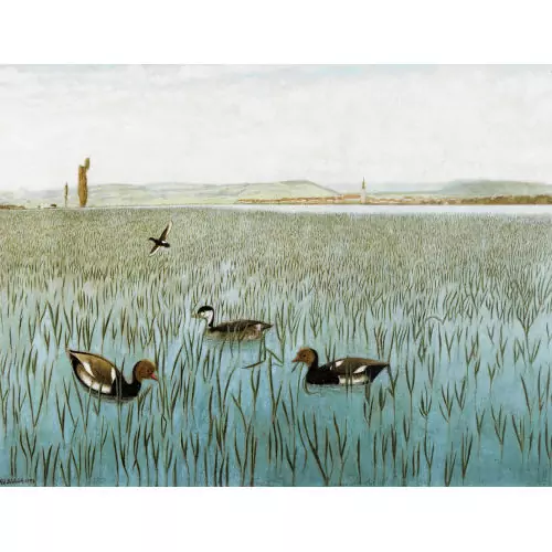 "Wildenten"